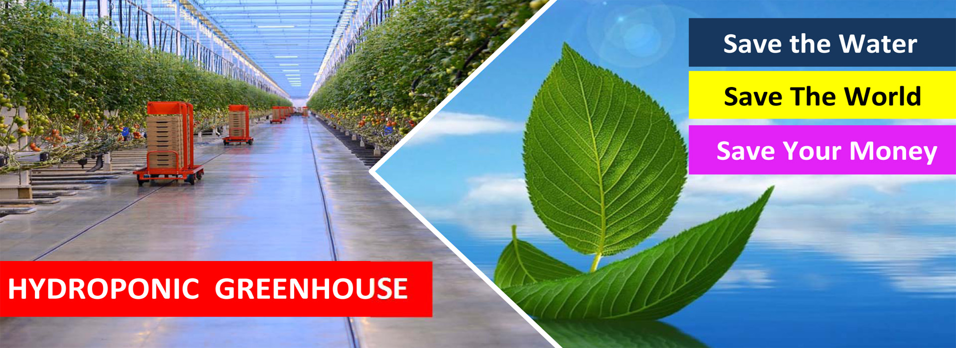 SLIDE 24 HYDROPONIC GREENHOUSE SAVE WATER